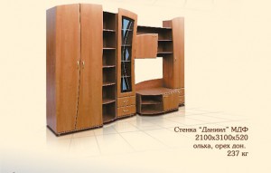 Стенка Даниил