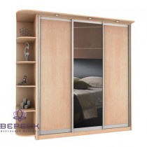 Шкаф-купе Байкал-Рамир-3
