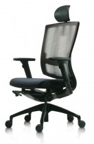 Компьютерное кресло DuoFlex Combi BR-200C