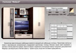 Гостиная Мадрид
