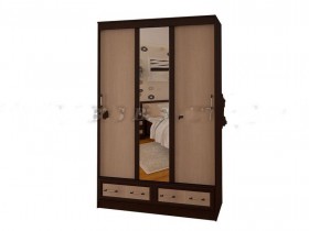 Шкаф-купе "Модерн" 1,65м