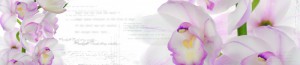 Кухонный фартук Albico SP-044