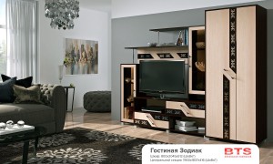 Гостиная Зодиак бтс