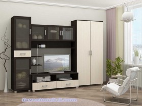 Стенка Кари 1