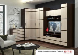 Гостиная «Сакура»