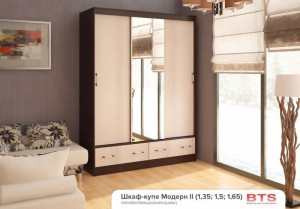 Шкаф купе «Модерн-2»