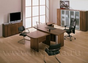 Кабинет руководителя Stels