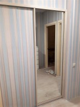 Дверь купе с зеркалом для прихожей