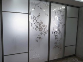 Межкомнатная перегородка с прозрачным рисунком на матовом фоне